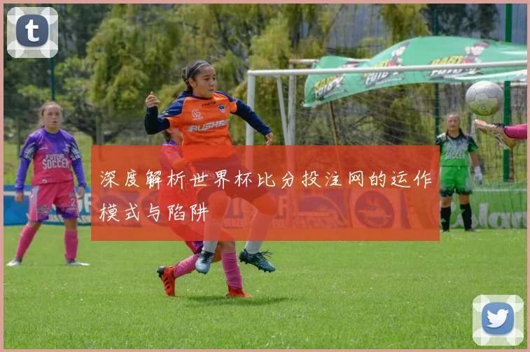 深度解析世界杯比分投注网的运作模式与陷阱