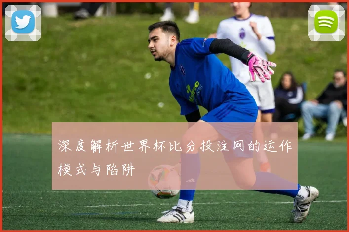 深度解析世界杯比分投注网的运作模式与陷阱