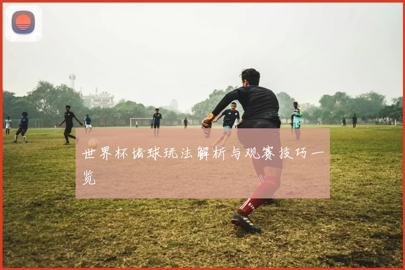 世界杯堵球玩法解析与观赛技巧一览