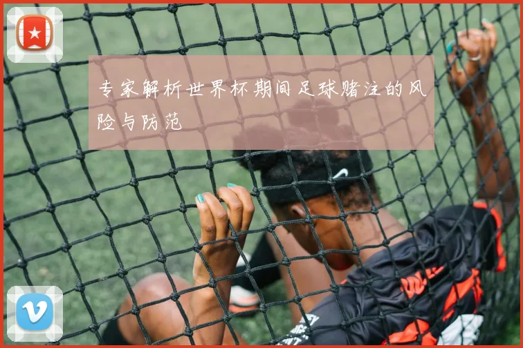 专家解析世界杯期间足球赌注的风险与防范