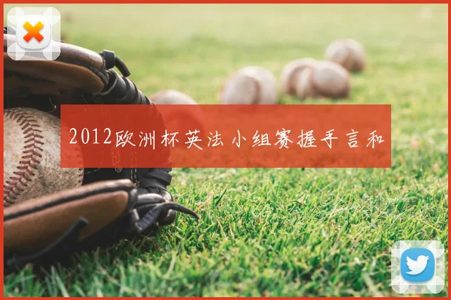 2012欧洲杯英法小组赛握手言和