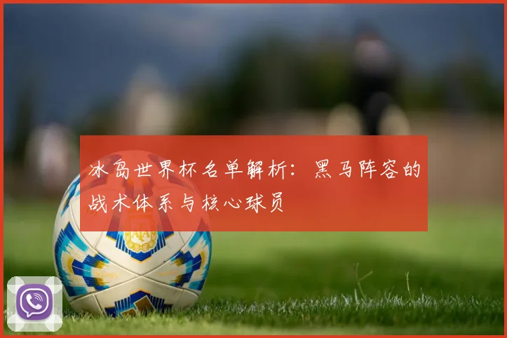 冰岛世界杯名单解析:黑马阵容的战术体系与核心球员