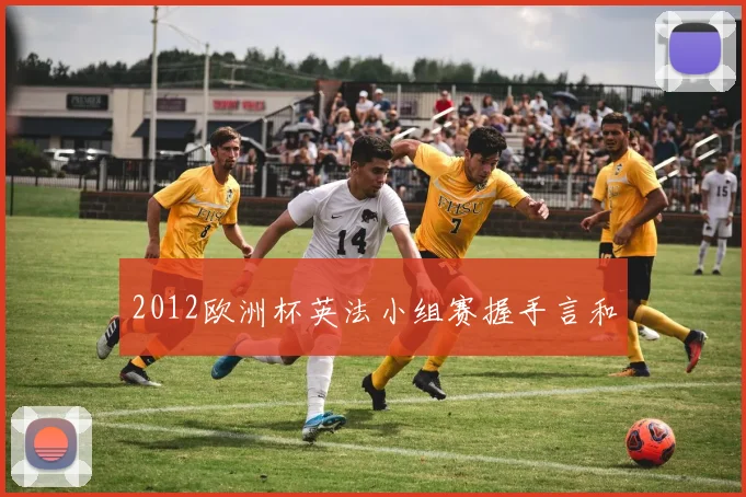 2012欧洲杯英法小组赛握手言和