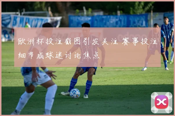 欧洲杯投注截图引发关注 赛事投注细节成球迷讨论焦点