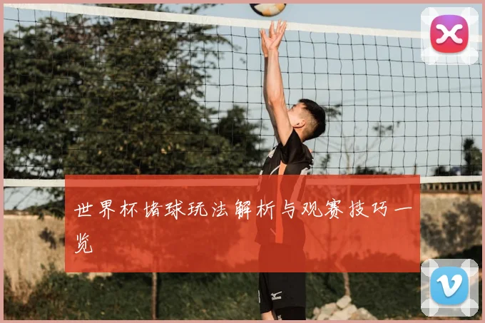 世界杯堵球玩法解析与观赛技巧一览