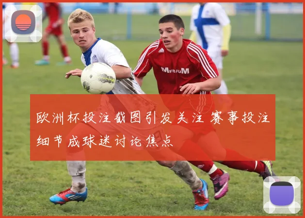 欧洲杯投注截图引发关注 赛事投注细节成球迷讨论焦点