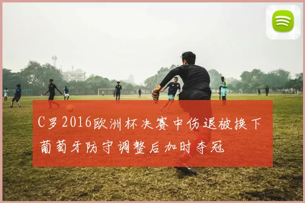 C罗2016欧洲杯决赛中伤退被换下 葡萄牙防守调整后加时夺冠