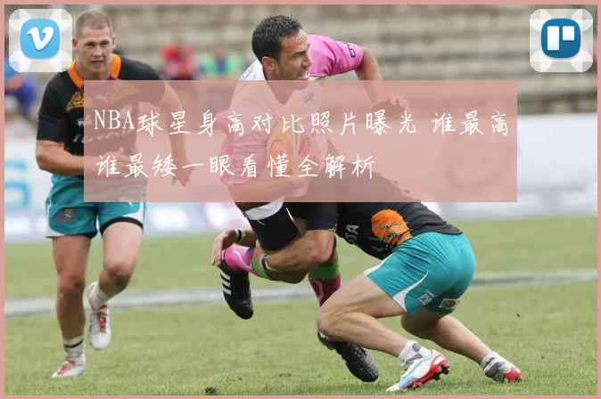 NBA球星身高对比照片曝光 谁最高谁最矮一眼看懂全解析