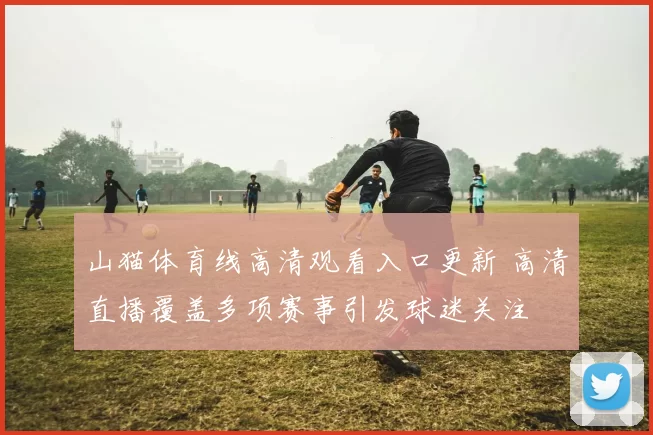 山猫体育线高清观看入口更新 高清直播覆盖多项赛事引发球迷关注