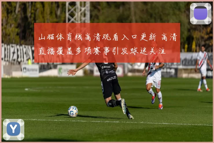 山猫体育线高清观看入口更新 高清直播覆盖多项赛事引发球迷关注