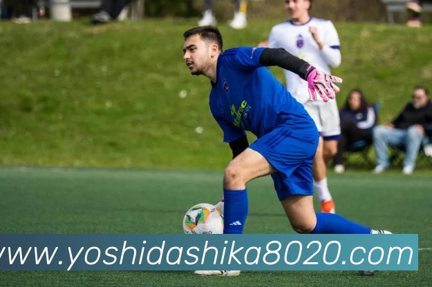 辅助工具 辅助工具